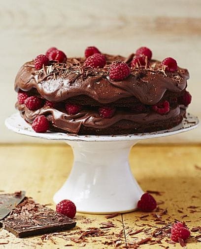What A Fantastic Vegan Chocolate Cake