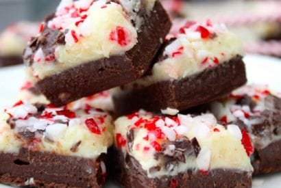 Thumbnail for A Really Yummy Fudge Recipe For This Double Chocolate Peppermint Candy
