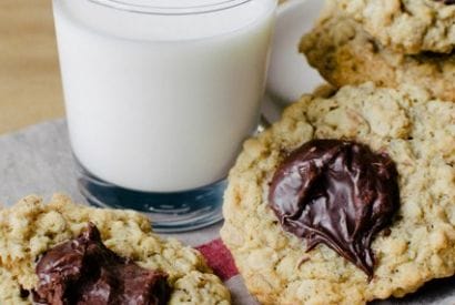 Thumbnail for So Yummy Looking Fudge & Walnut Oatmeal Cookies