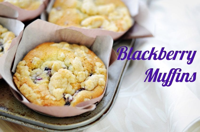 This Is One Of Those Delightful Blackberry Muffin Recipes For A Weekend Treat