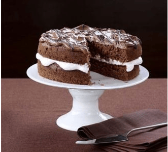 A Wonderfully Light & fluffy Chocolate Mocha Cake Recipe