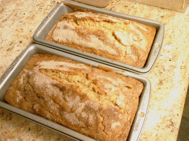 Amish Friendship Bread Recipe