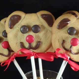 What Fantastic Teddy Bear Peanut Cookie Pops