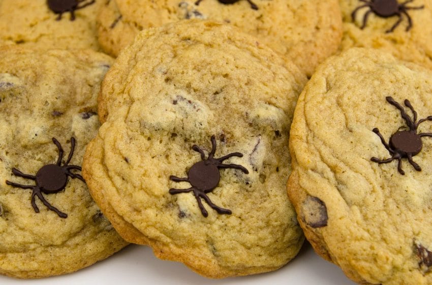 Delightful Spider Chocolate Chip Cookies For Halloween