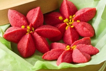 Thumbnail for Raspberry Poinsettia Blossom Cookies To Make