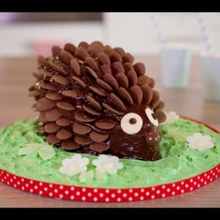 A Really Cute Chocolate Hedgehog Cake To Make For A Party