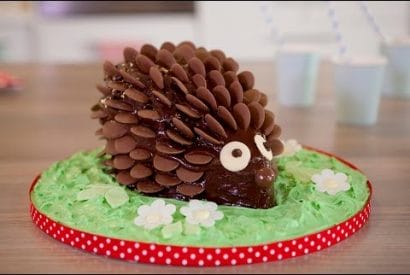 Thumbnail for A Really Cute Chocolate Hedgehog Cake To Make For A Party