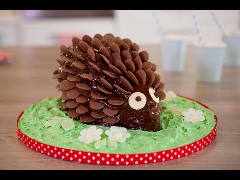 A Really Cute Chocolate Hedgehog Cake To Make For A Party