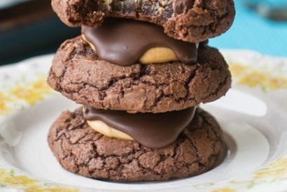 Thumbnail for Delicious Buckeye Brownie Cookies