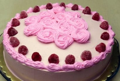 Thumbnail for Chocolate Raspberry Cake Recipe