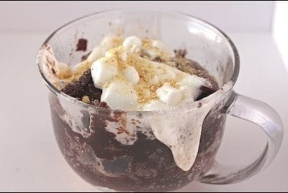 Thumbnail for Microwave S’more Fudge Mug Cake Recipe .. A Instant S’mores Fix In A Mug