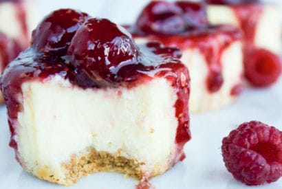 Thumbnail for Raspberry Mini Cheesecakes