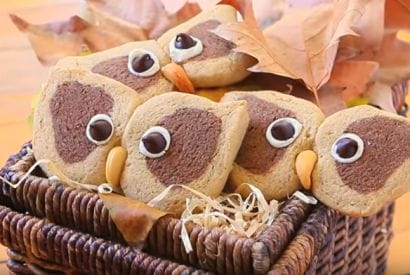 Thumbnail for How Cute Are These Cream And Cocoa Shortbread Owl Cookies
