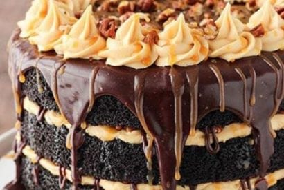 Thumbnail for Wow ! Yummy Looking Turtle Chocolate Layer Cake
