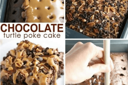 Thumbnail for How To Make A Chocolate Turtle Poke Cake