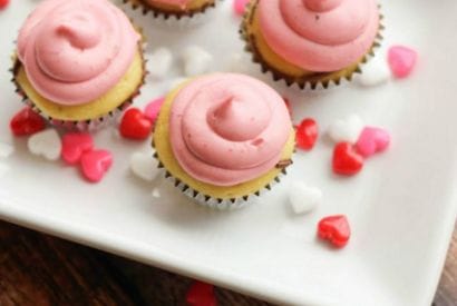 Thumbnail for Delightful And Delicious Nutella Swirl Mini Cupcakes With Raspberry Cream Cheese Frosting