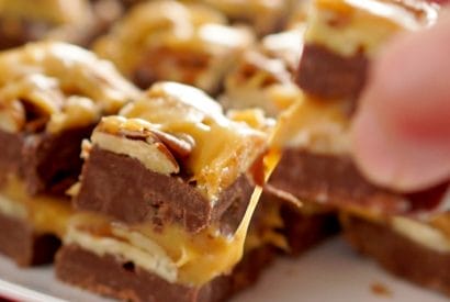 Thumbnail for How To Make This Amazing Turtle Fudge