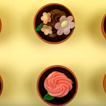Chocolate Flower Pot Cupcakes
