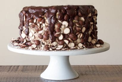 Thumbnail for Yummy Triple Malt Chocolate Cake