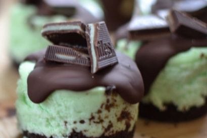 Thumbnail for Love These Andes Mint Mini Cheesecakes