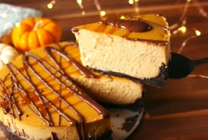 Thumbnail for A Really Amazing Chocolate Pumpkin Cheesecake