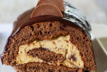 Thumbnail for Love This Chocolate Peanut Butter Cake Roll