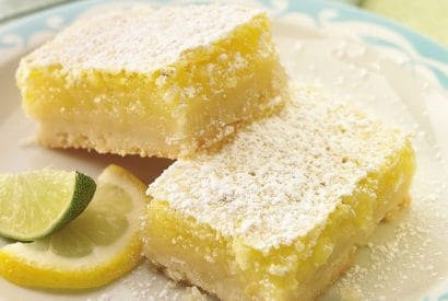 Thumbnail for Delicious Tropical Citrus Bars