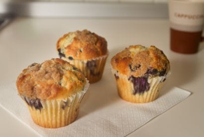 Thumbnail for Yummy Blueberry & Walnut Bran Muffins