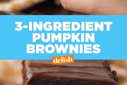 Thumbnail for 3 Ingredient Pumpkin Brownies You  Will Want In Your Life