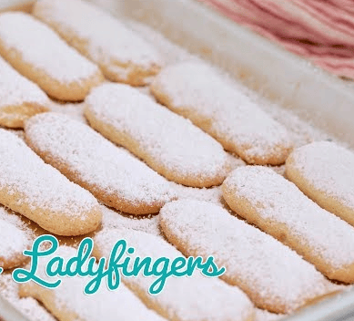 ladyfinger biscuits