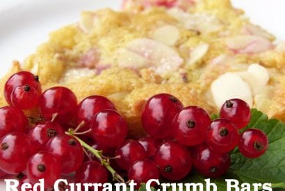 Thumbnail for Please Your Taste Buds With a Recipe for Red Currant Crumb Bars