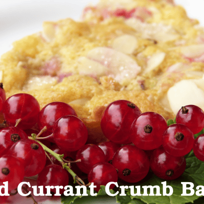 Red Currant Crumb Bars