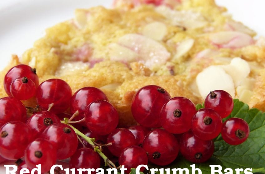 Red Currant Crumb Bars