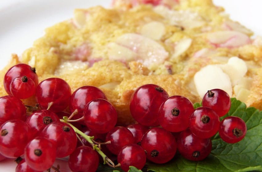 Please Your Taste Buds With Red Currant Crumb Bars