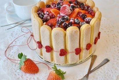 Thumbnail for Mixed Berries Ladyfinger Cake Recipe
